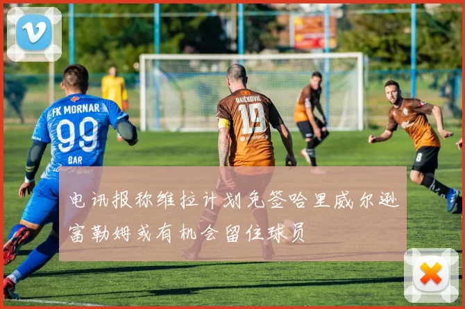 电讯报称维拉计划免签哈里威尔逊富勒姆或有机会留住球员