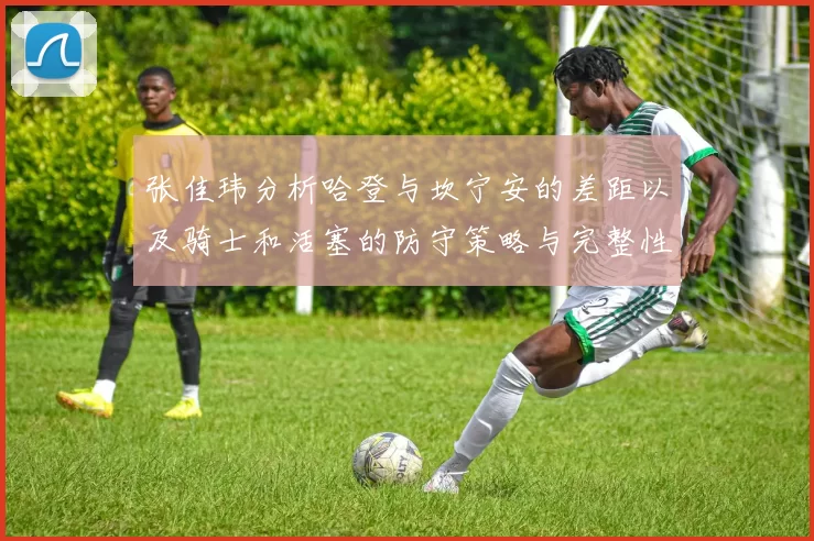 张佳玮分析哈登与坎宁安的差距以及骑士和活塞的防守策略与完整性